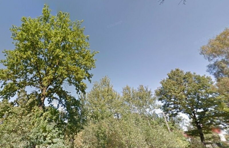 Działka budowlana Dąbrówka. Zdjęcie 3