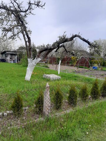 Działka rekreacyjna Gorzów Wielkopolski, ul. Żwirowa. Zdjęcie 1