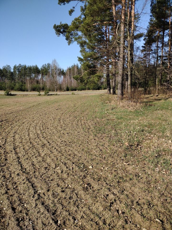 Działka budowlana Gorczyca. Zdjęcie 3