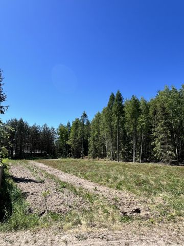 Działka rolno-budowlana Oleszno, ul. Szkolna. Zdjęcie 1