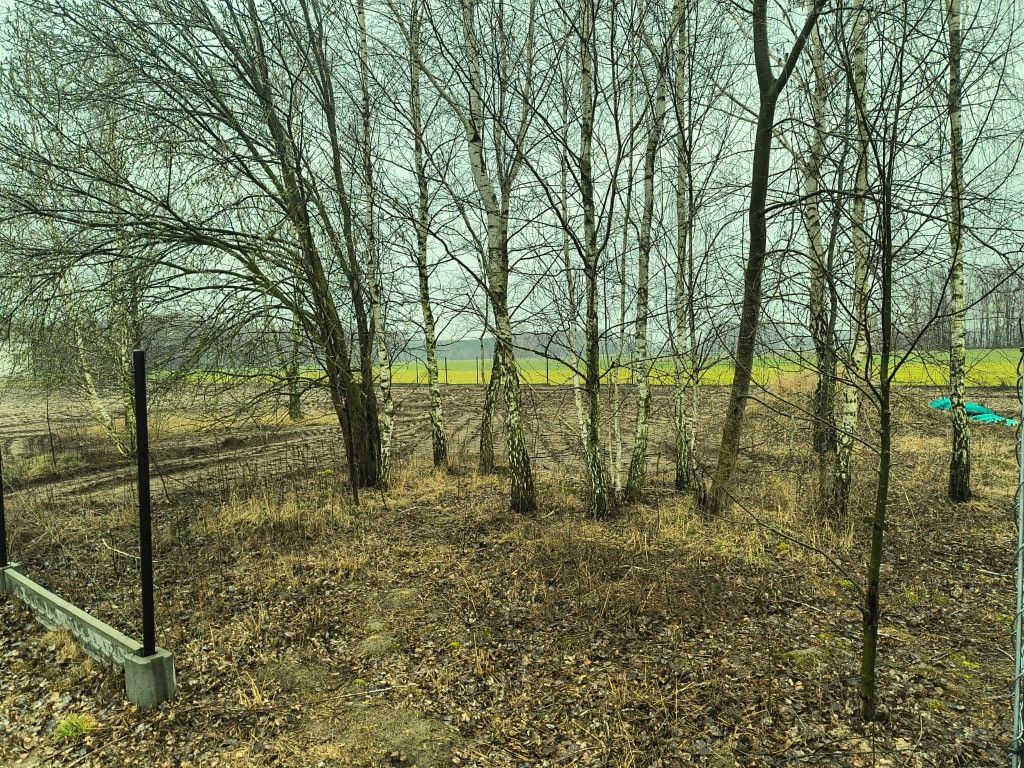 Działka rolno-budowlana Grygrów. Zdjęcie 4