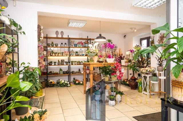 Lokal Koszalin, ul. Zwycięstwa. Zdjęcie 9