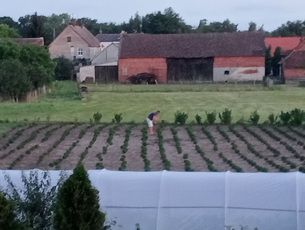 Działka budowlana Wołów. Zdjęcie 3