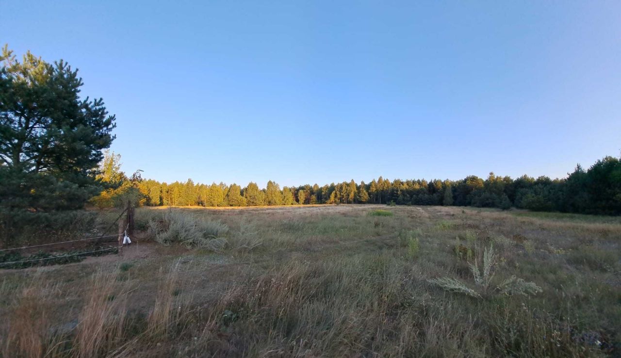 Działka siedliskowa Orłowo. Zdjęcie 6