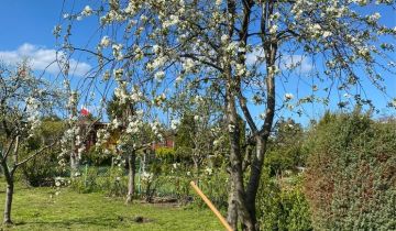 Działka rod Gdańsk Brzeźno, ul. Uczniowska