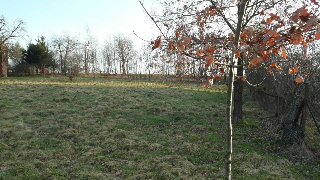 Działka budowlana Pisarzowice. Zdjęcie 5