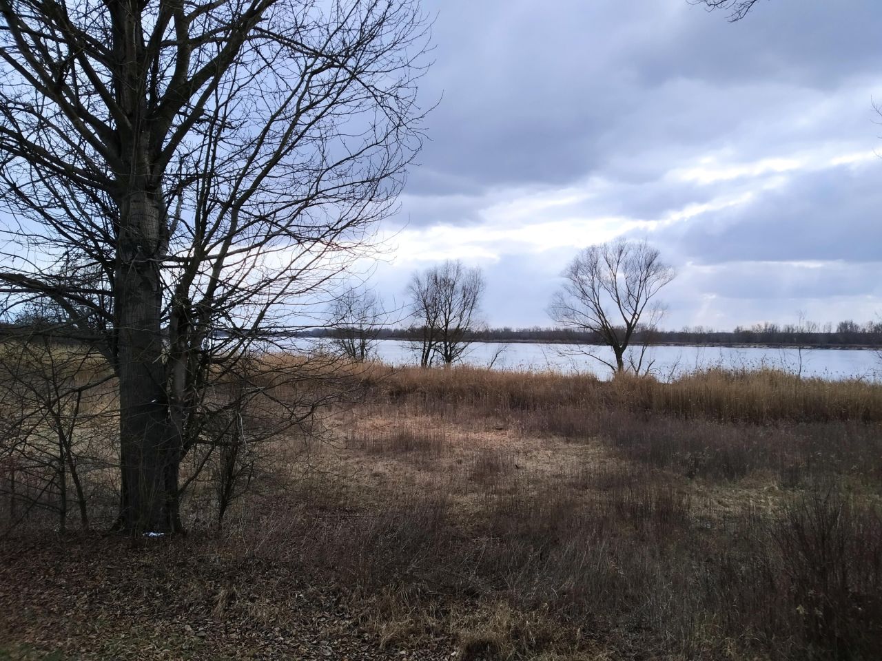 Działka rolno-budowlana Nadbrzeż, Wiślana. Zdjęcie 6