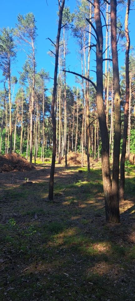 Działka inna Wypychów. Zdjęcie 2