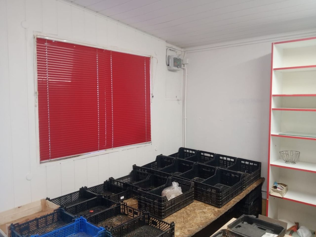 Lokal Zgierz Stare Miasto, ul. ks. Szczepana Rembowskiego. Zdjęcie 5