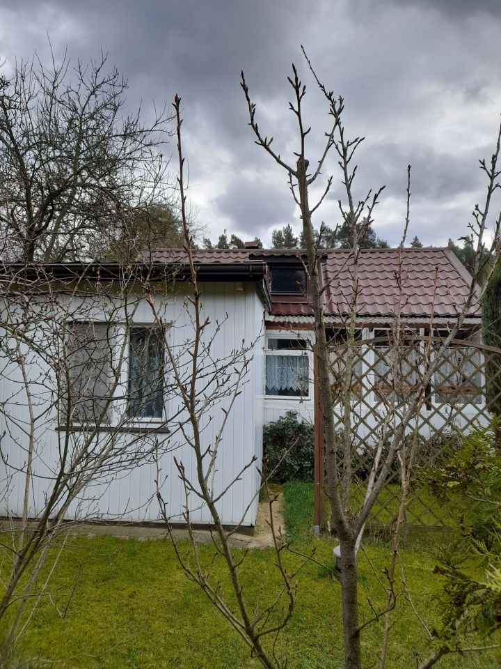 Działka rod Lisów, ul. Leśna. Zdjęcie 2