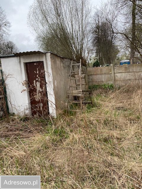 Lokal Braniewo, ul. Kościuszki. Zdjęcie 12