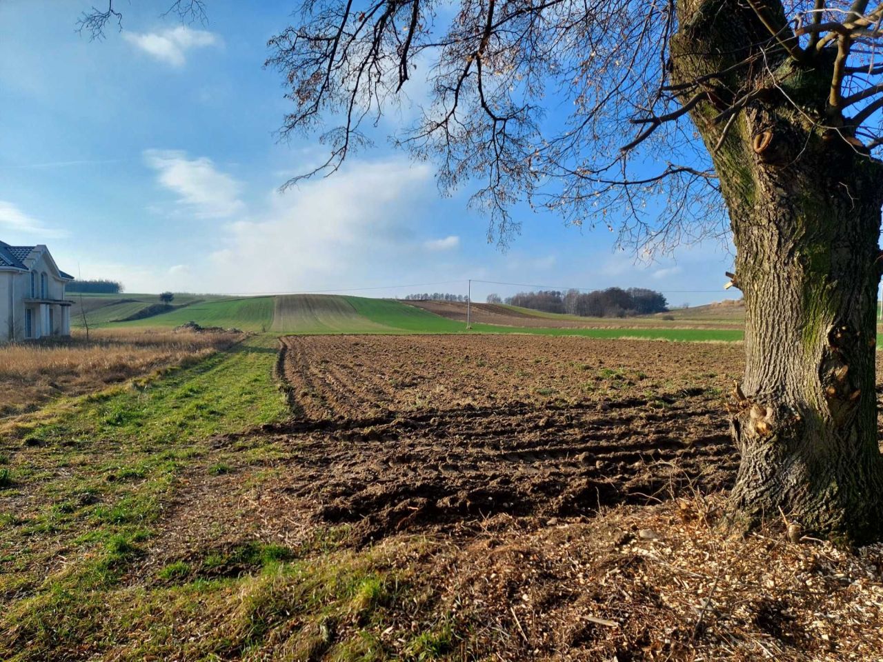 Działka budowlana Świątkowice. Zdjęcie 2