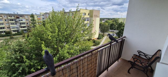 Mieszkanie 3-pokojowe Bydgoszcz Fordon, ul. Konfederatów Barskich. Zdjęcie 1