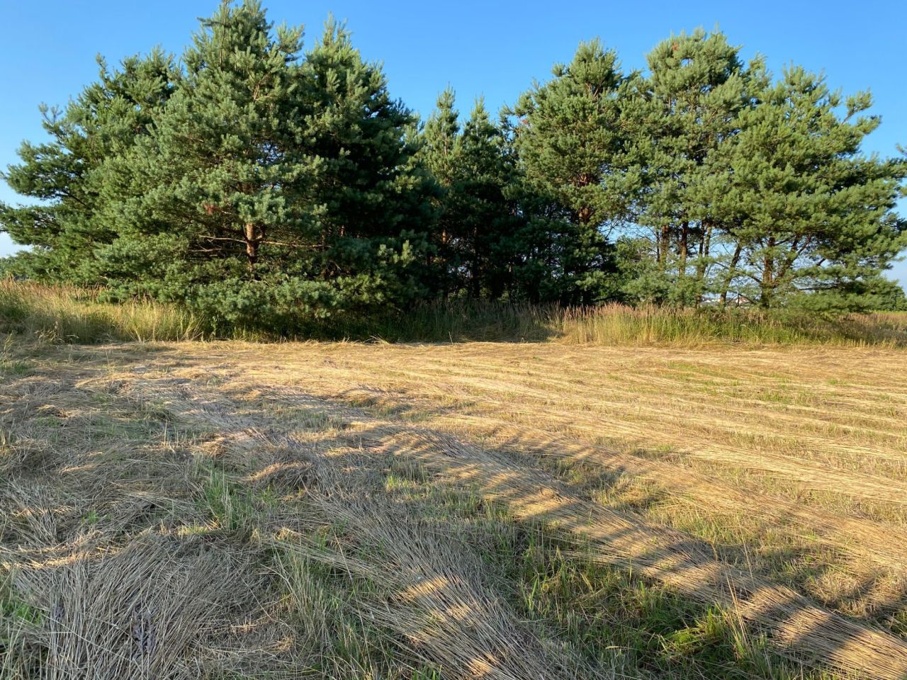 Działka budowlana Rudziczka, ul. Baraniok. Zdjęcie 5