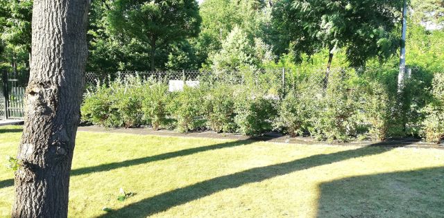 dom wolnostojący, 5 pokoi Warszawa Wawer, ul. Izbicka. Zdjęcie 24