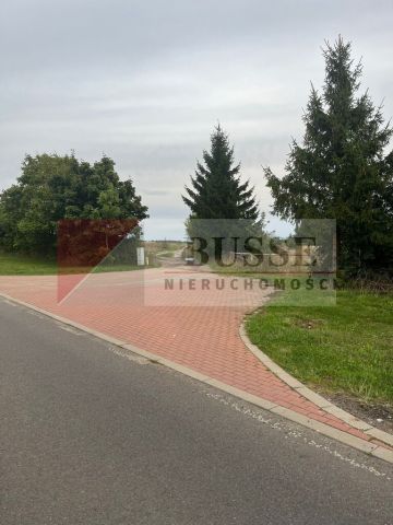 Działka rolna Storkowo. Zdjęcie 1