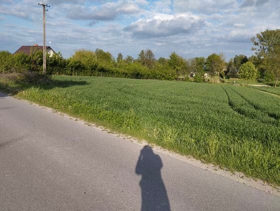 Działka budowlana Zdrapy. Zdjęcie 3