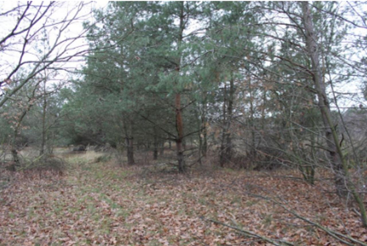 Działka rolno-budowlana Warszawa Wawer, ul. Retmańska. Zdjęcie 9