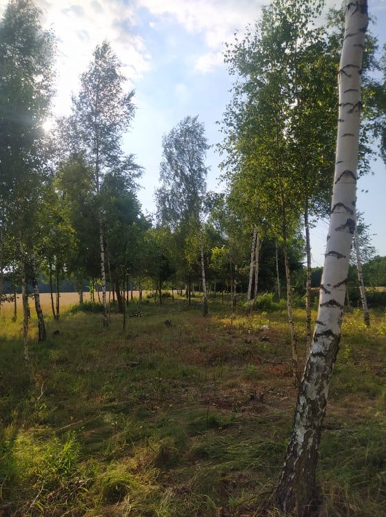 Działka budowlana Nowe Miasto-Folwark Gaje. Zdjęcie 2