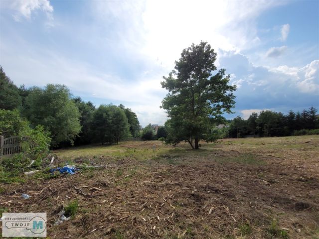 Działka inwestycyjna Kostomłoty Pierwsze. Zdjęcie 2