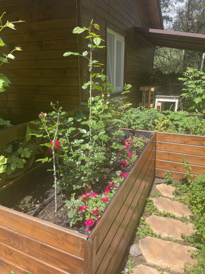 Działka leśna Kępiaste. Zdjęcie 6