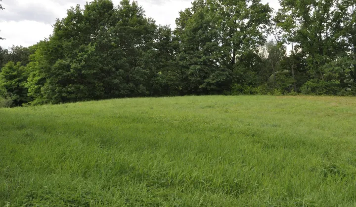 Działka budowlana Jasło Niegłowice, ul. Młynarska