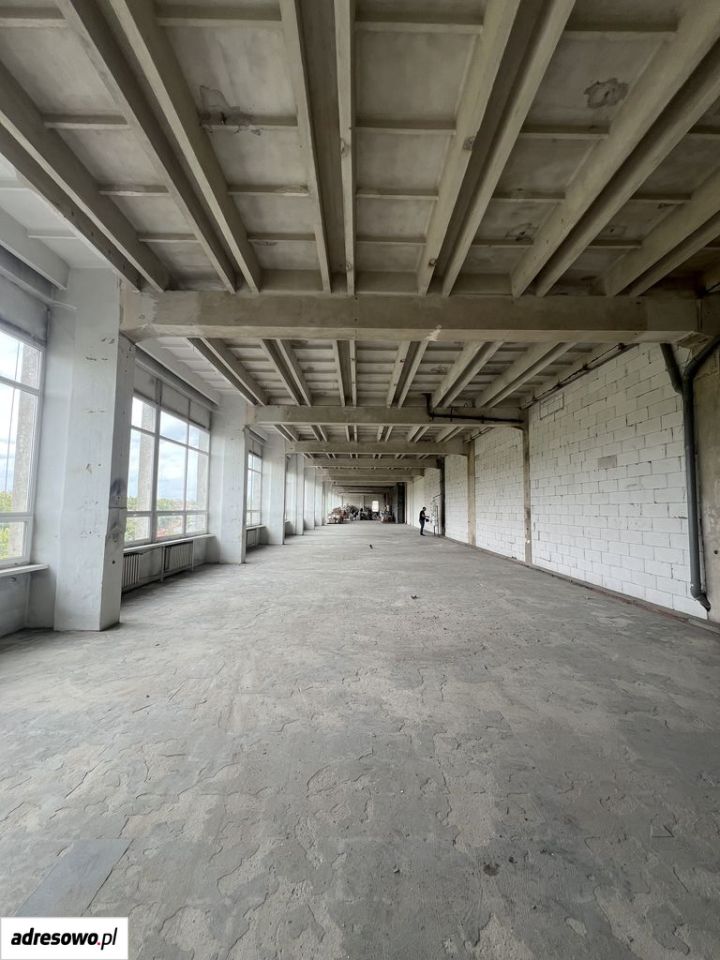 Lokal Łódź Śródmieście, ul. Piotrkowska. Zdjęcie 6
