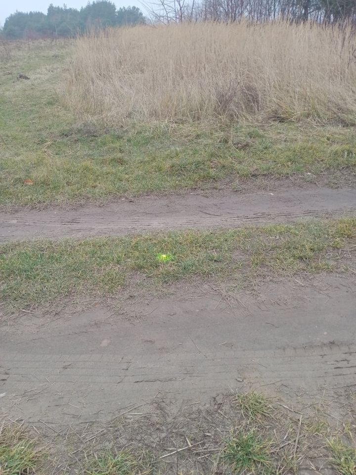 Działka budowlana Raków, ul. Brzozowa. Zdjęcie 2