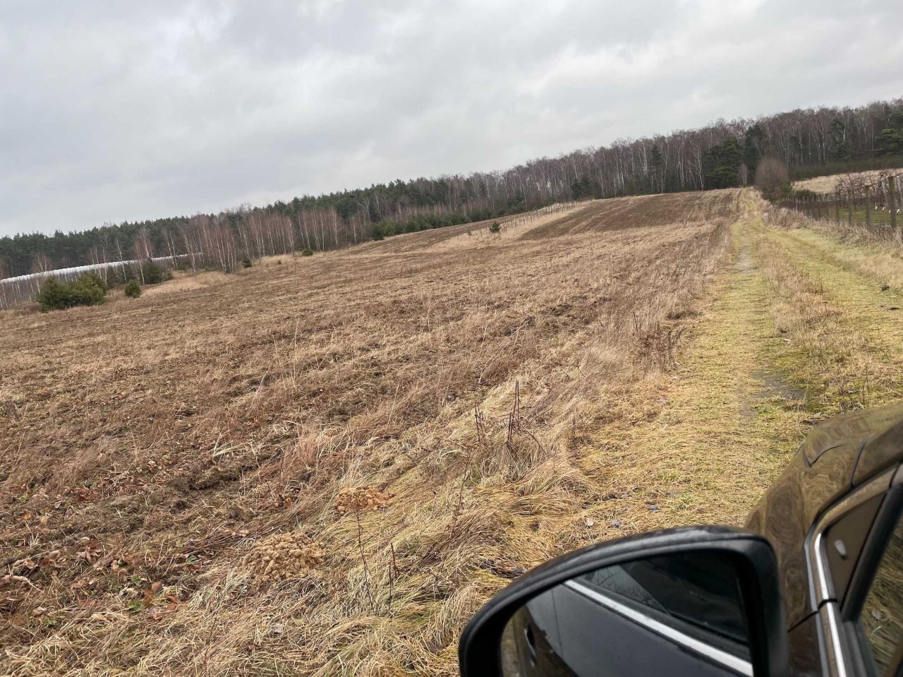 Działka rolno-budowlana Promna-Kolonia. Zdjęcie 6