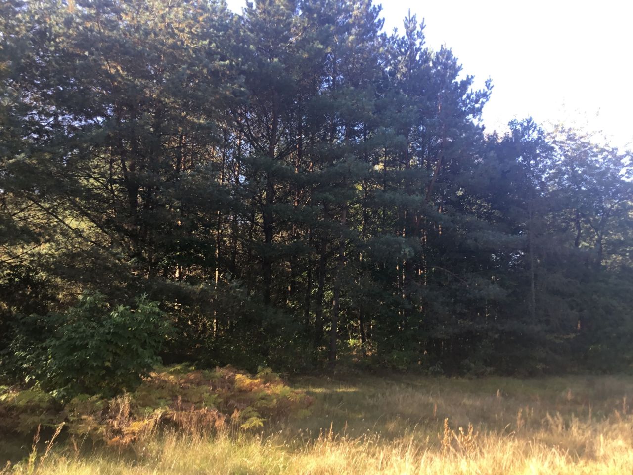 dom wolnostojący Trzcianka. Zdjęcie 6