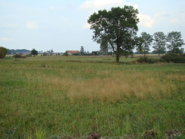 Działka budowlana Janówko. Zdjęcie 1