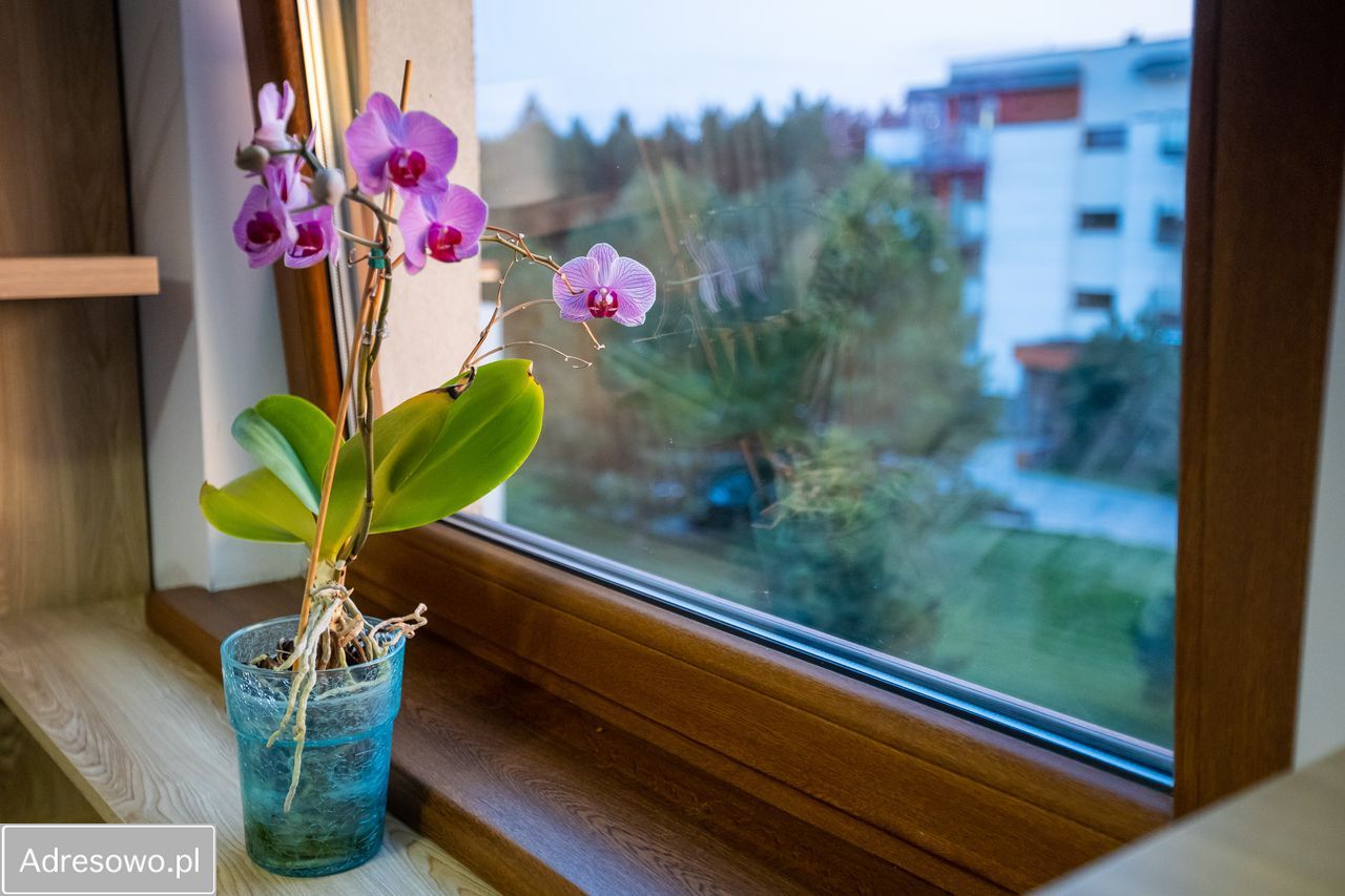 Mieszkanie 2-pokojowe Ełk, ul. Szyszkowa. Zdjęcie 14