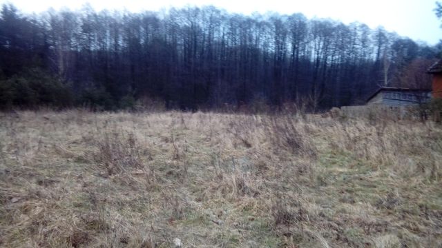 Działka rolno-budowlana Olbrachtówko. Zdjęcie 1