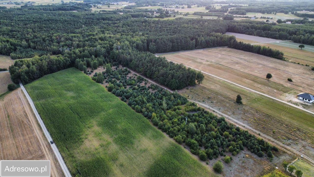 Działka budowlana Wojsławice. Zdjęcie 5