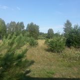 Działka rolna Nowy Dwór. Zdjęcie 1