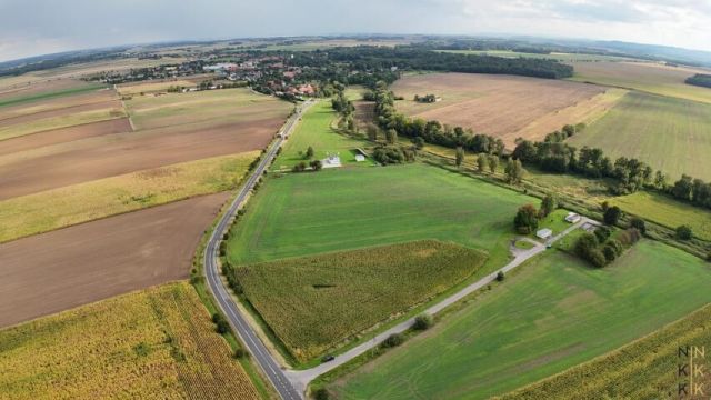Działka inwestycyjna Gniechowice. Zdjęcie 2