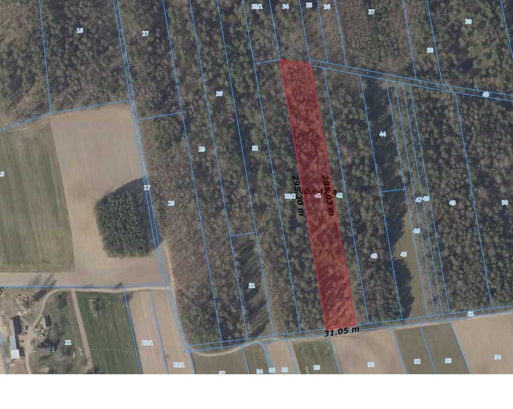 Działka leśna Boratyniec Lacki. Zdjęcie 8