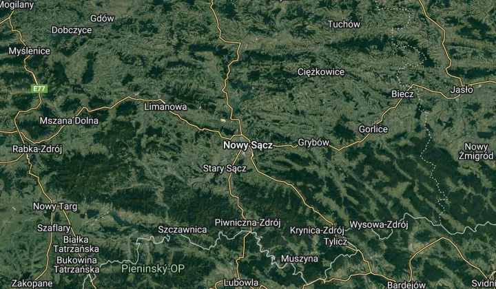 Działka leśna Podole-Górowa