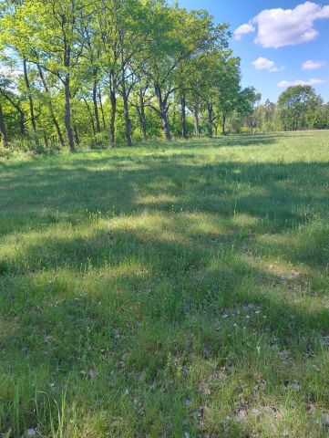 Działka rolna Czerna. Zdjęcie 1