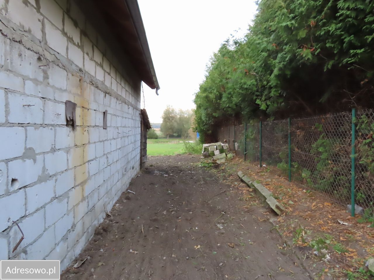 siedlisko Jaszczów. Zdjęcie 9