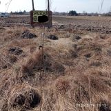 Działka budowlana Pająków. Zdjęcie 4