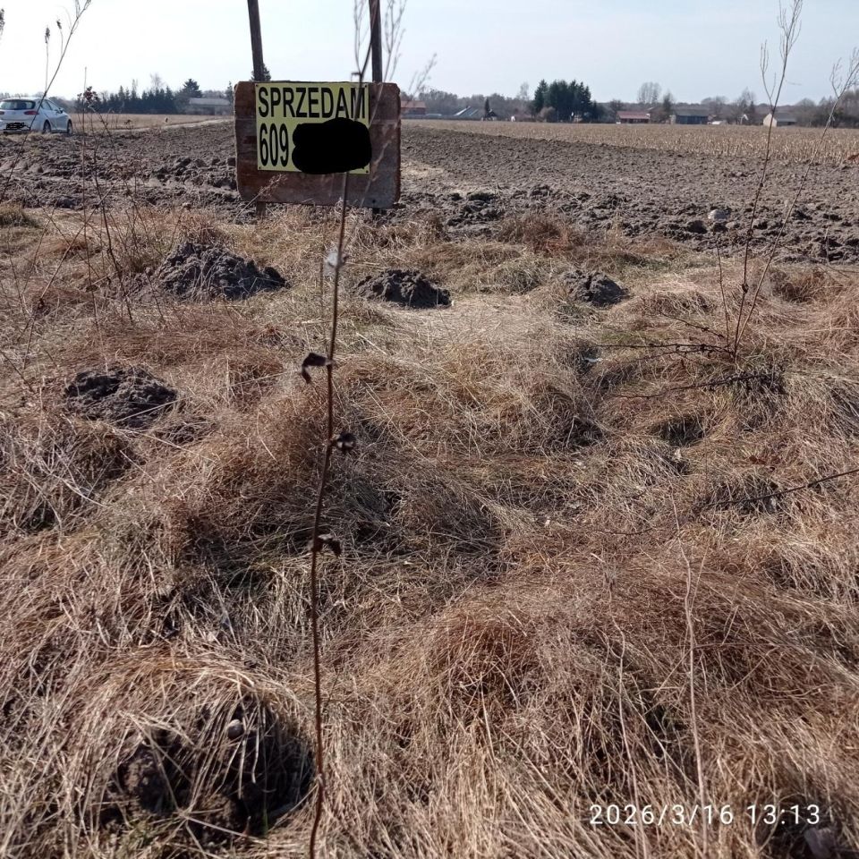 Działka budowlana Pająków. Zdjęcie 5