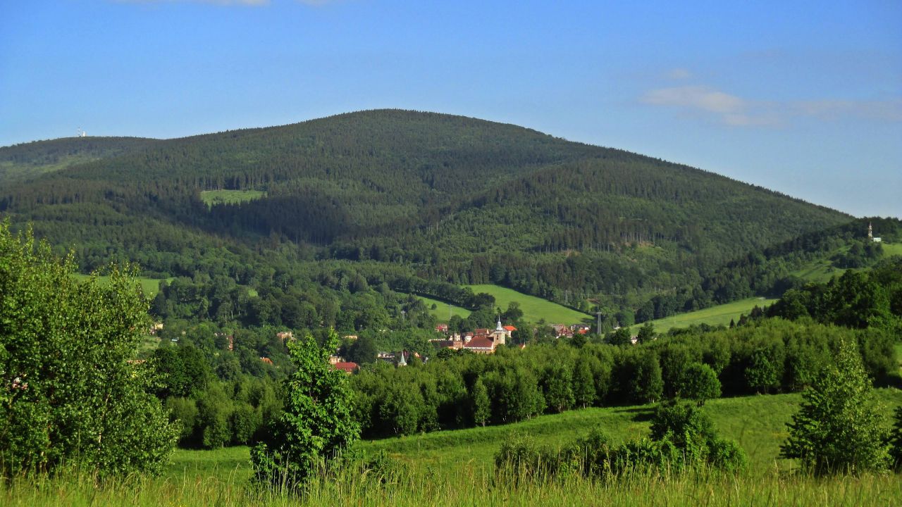 Działka budowlana Walim, ul. Kolonia Górna. Zdjęcie 1