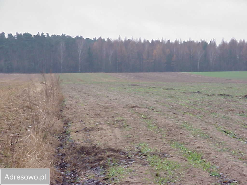 Działka rolna Bielawa. Zdjęcie 5