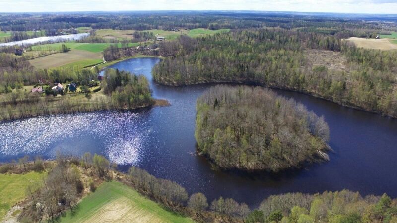 Działka budowlana Borowy Las. Zdjęcie 2