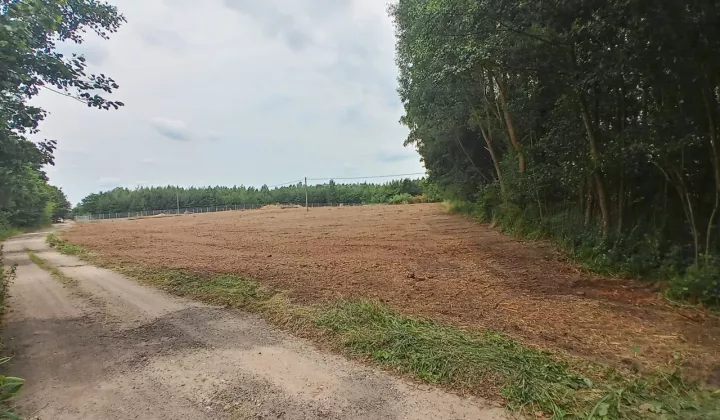 Działka rolna Płock Budy Dolne, ul. Jordanowska