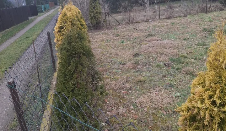 Działka rod Gorzkie Pole, ul. Starych Wierzb