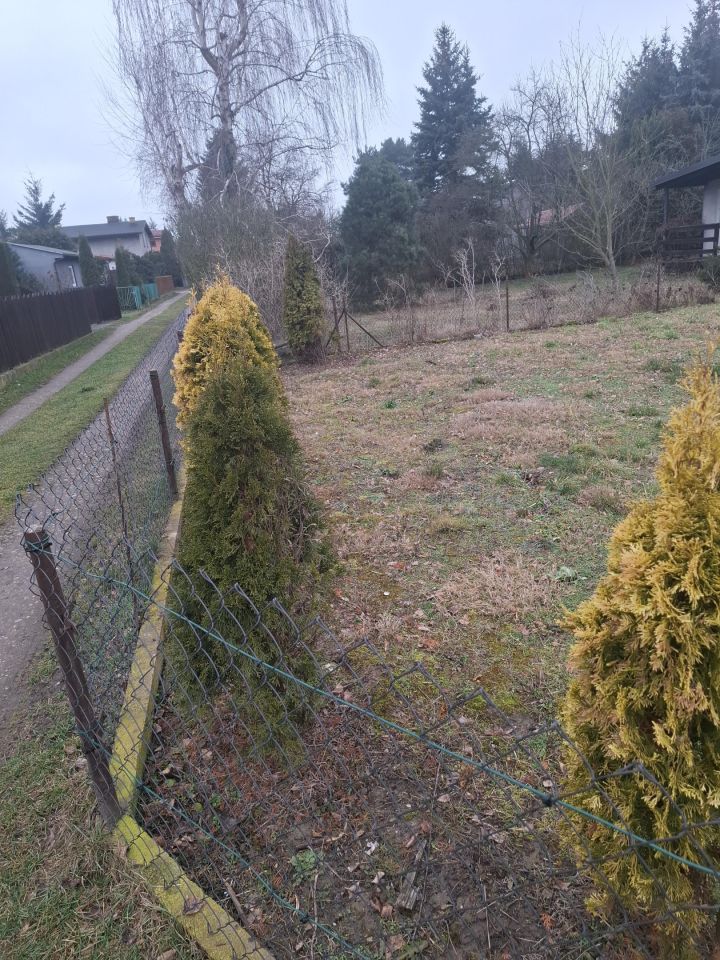 Działka rod Gorzkie Pole, ul. Starych Wierzb. Zdjęcie 2