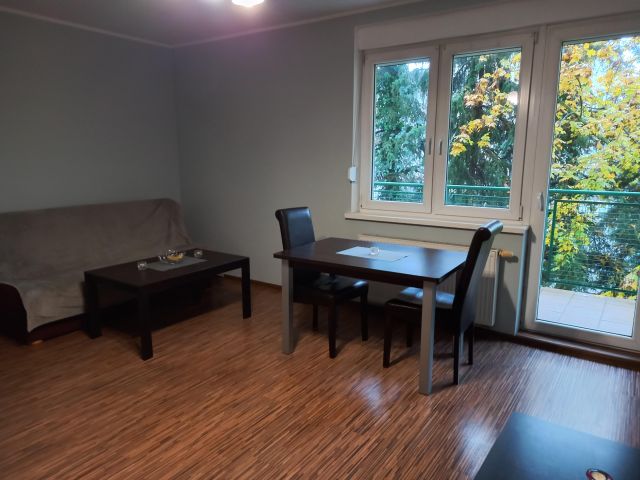 Mieszkanie 1-pokojowe Poznań Główna, ul. Gnieźnieńska. Zdjęcie 1