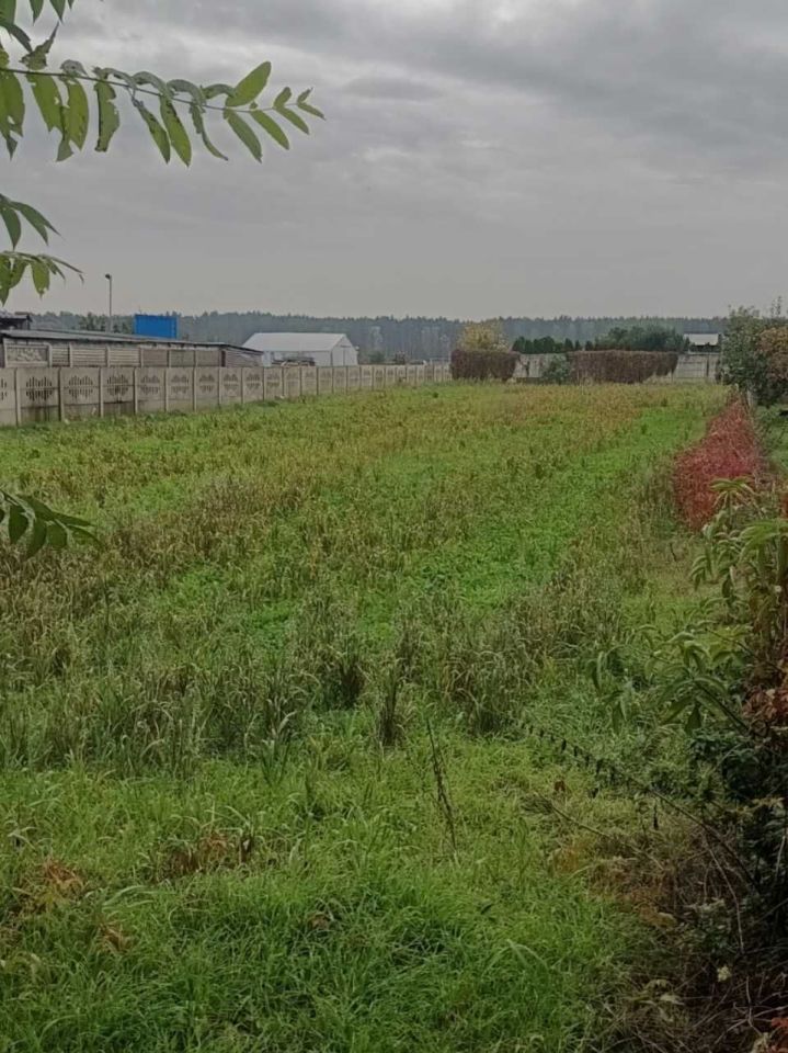 Działka budowlana Piotrowice. Zdjęcie 4